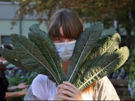 Neuigkeiten und ein Geburtstagskuchen von Acker e.V.